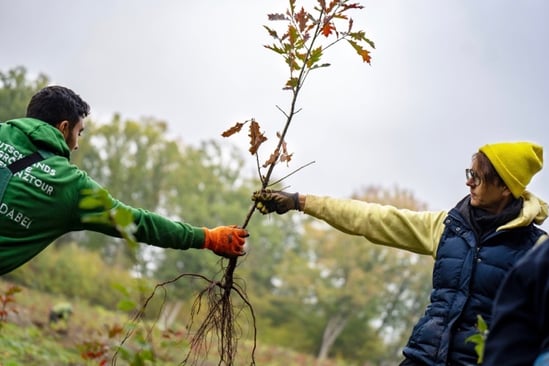 Bild 15.12.23 um 15.32